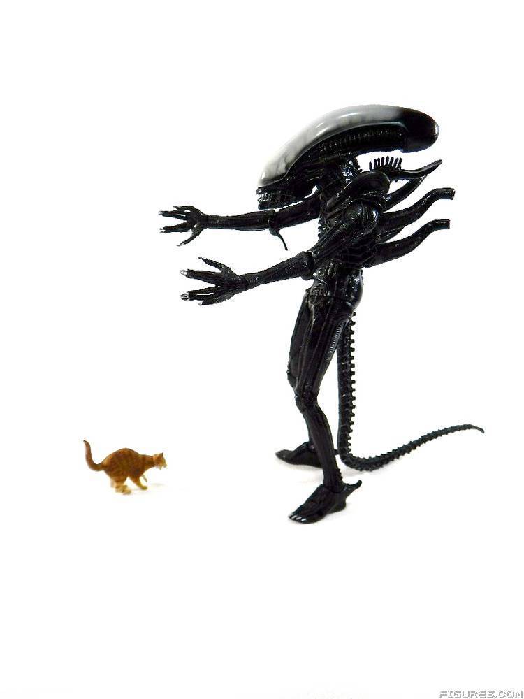 Alien