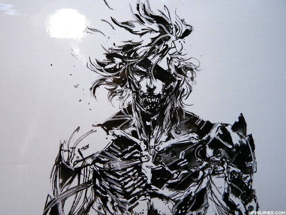 MGS Raiden