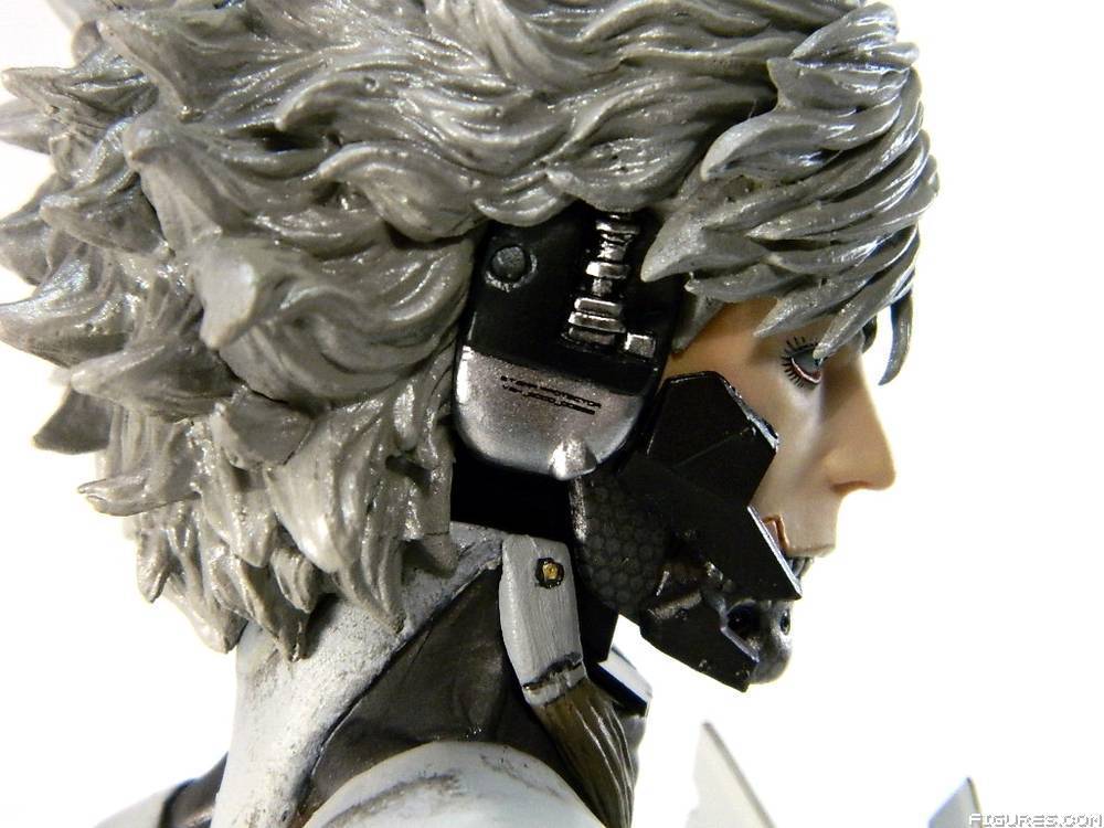 MGS Raiden