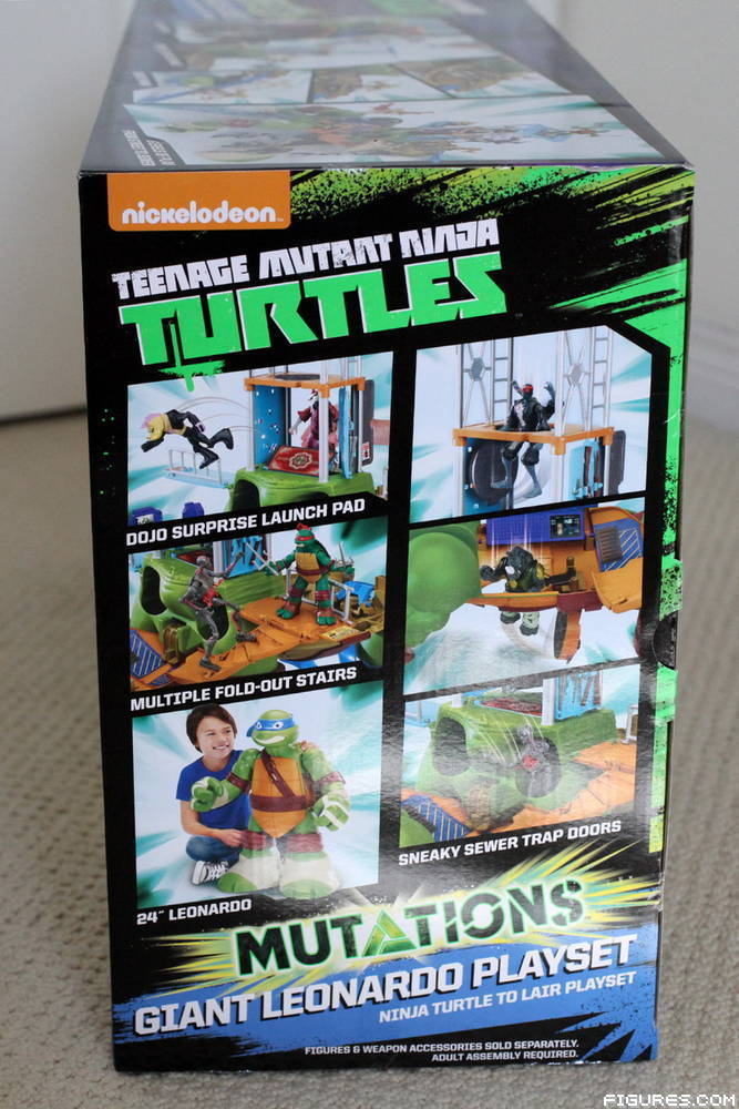 TMNT