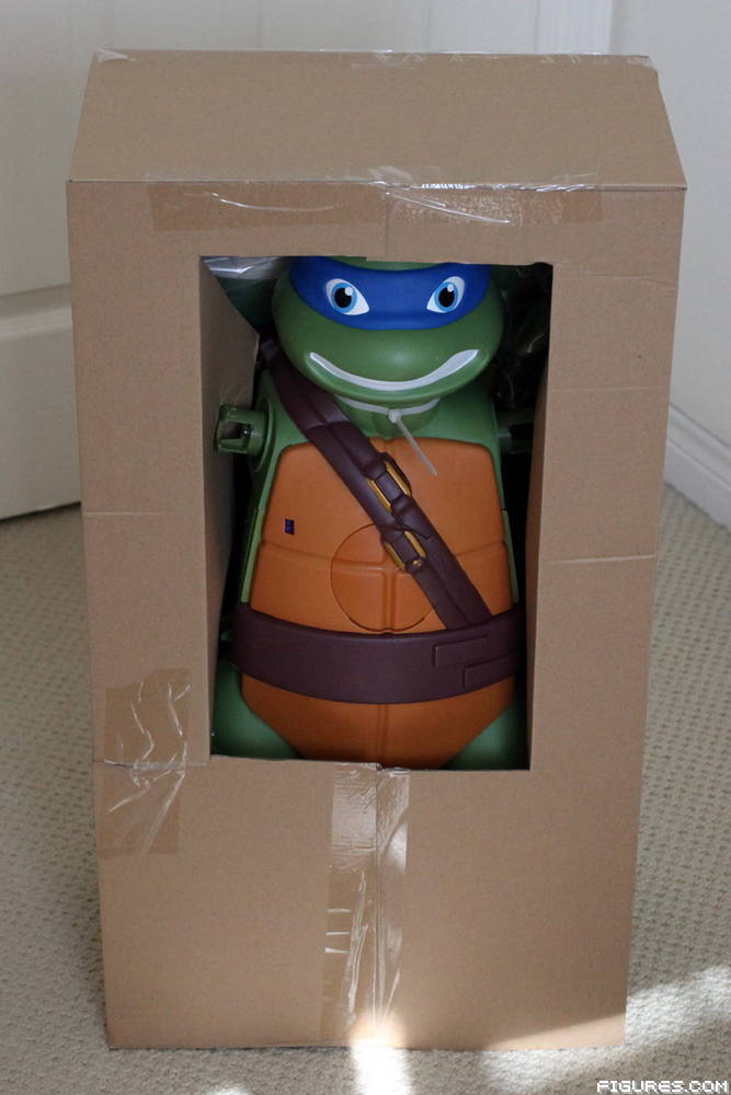 TMNT
