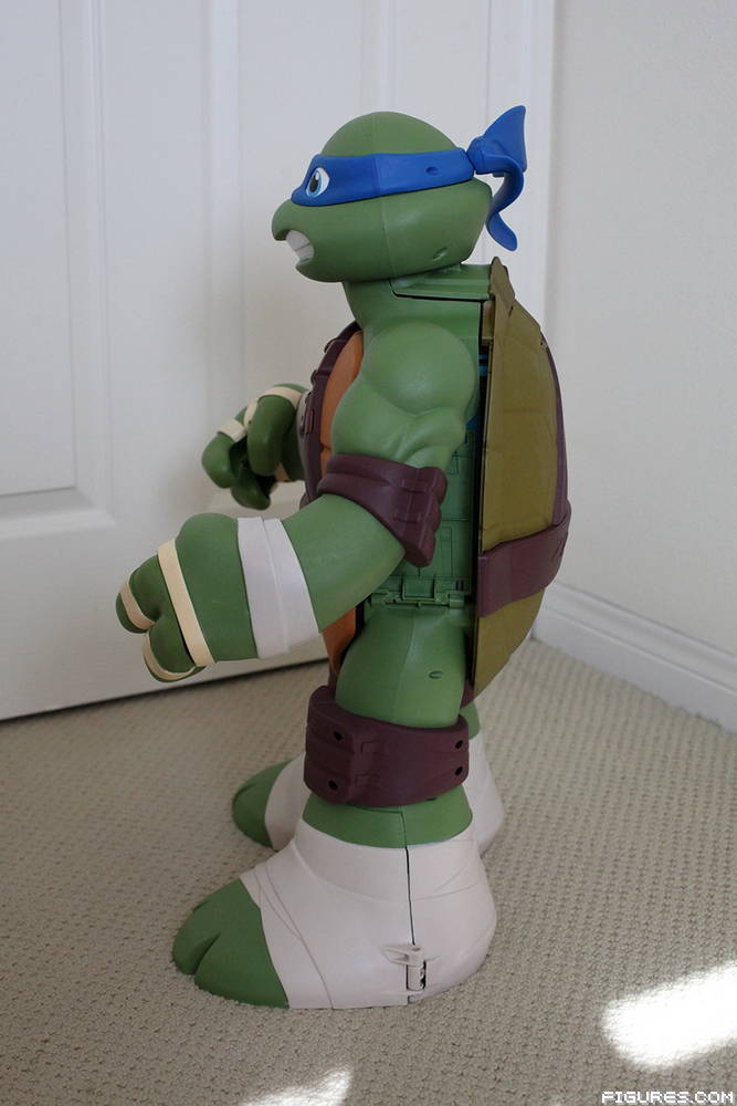 TMNT