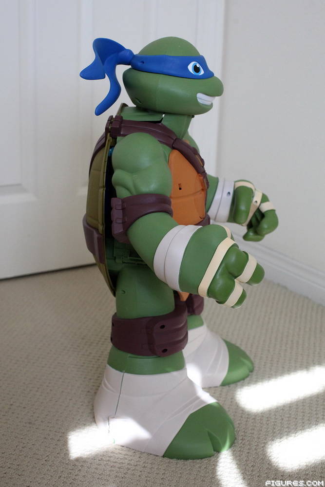 TMNT