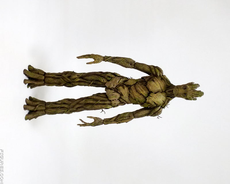 groot01