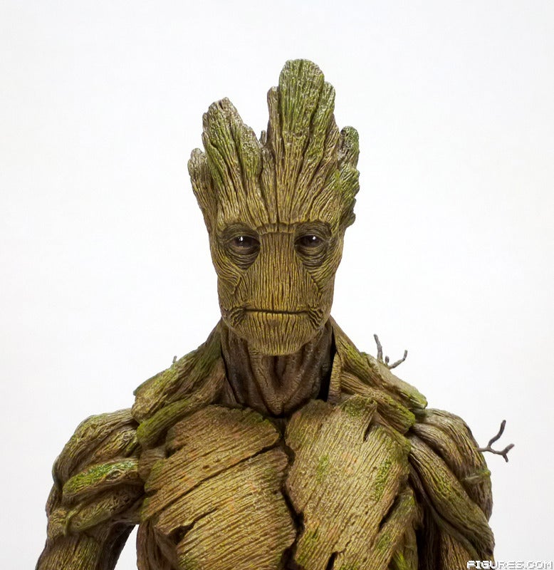 groot02