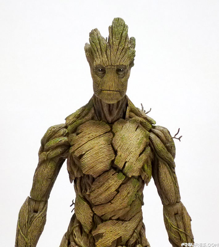 groot03