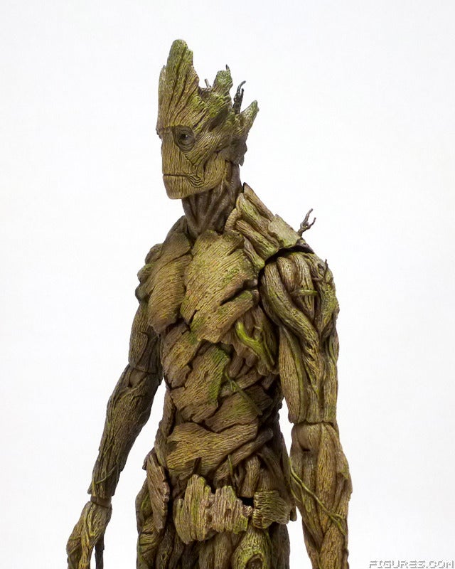 groot06