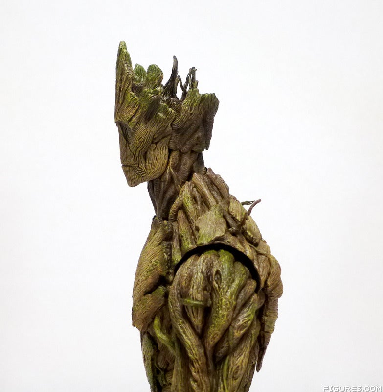 groot08