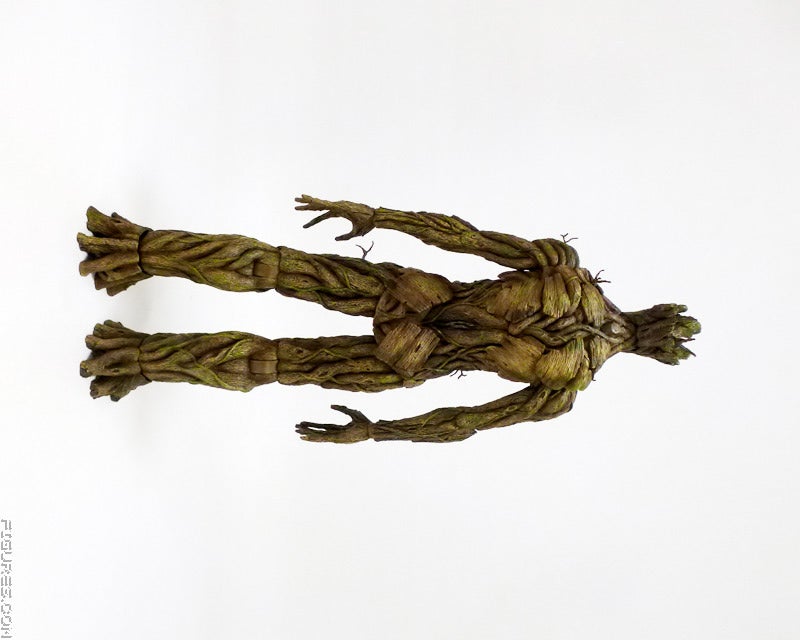 groot10