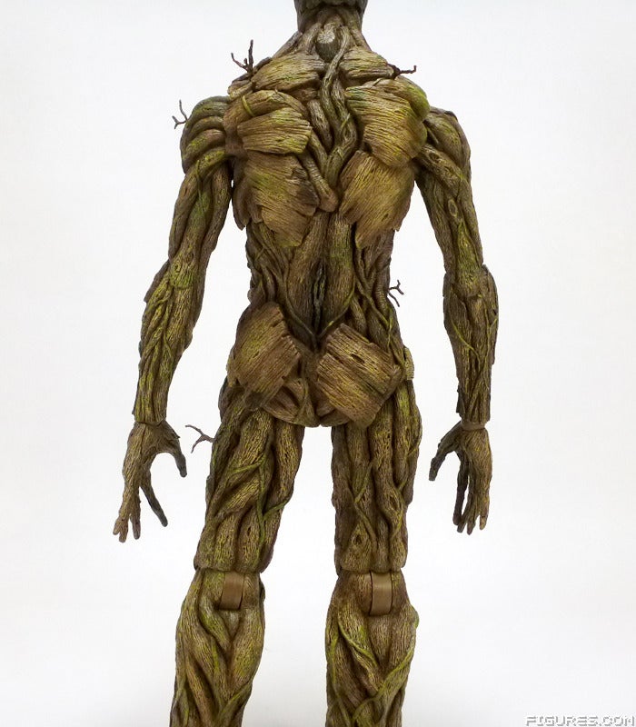 groot13