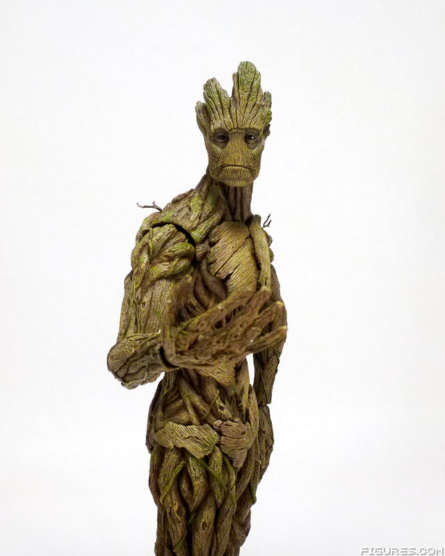groot20