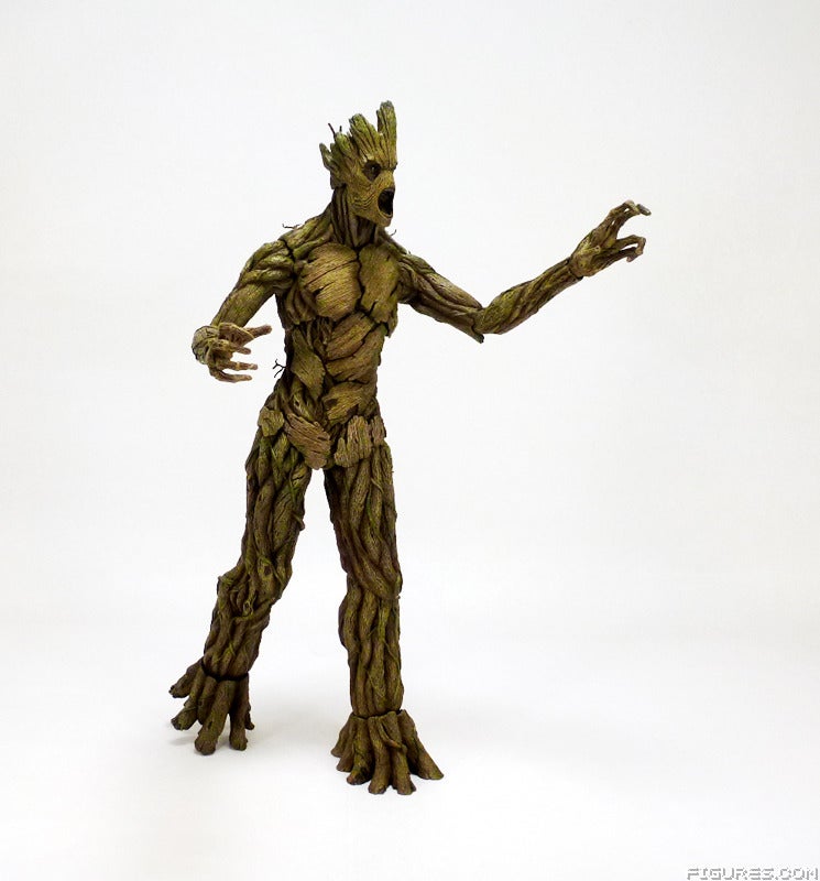 groot24