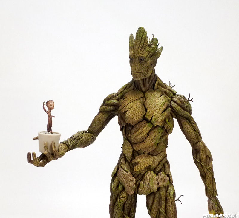 groot31