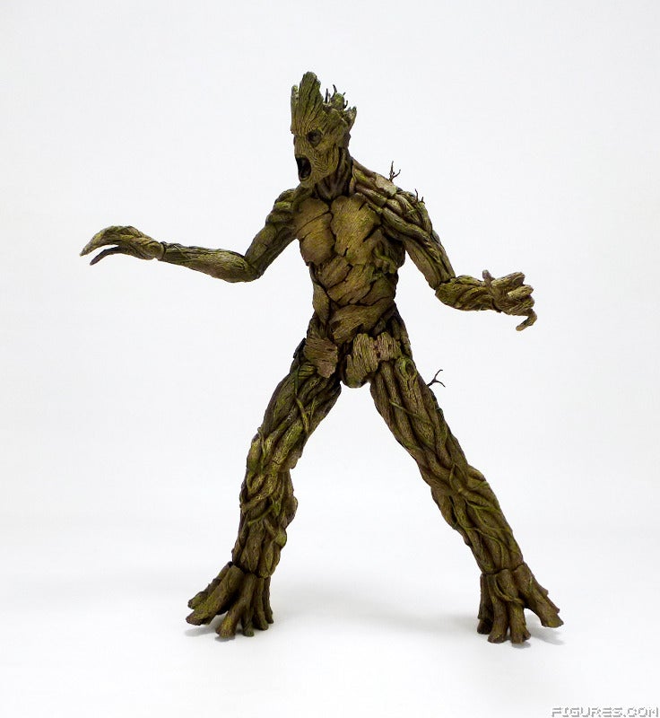 groot35