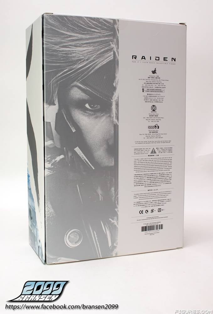 HT MGS RAIDEN