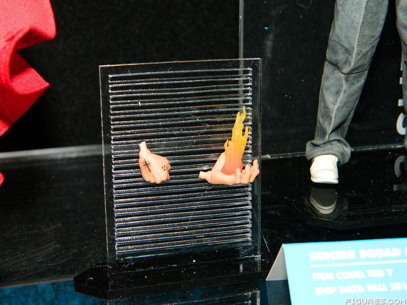DSCN98045