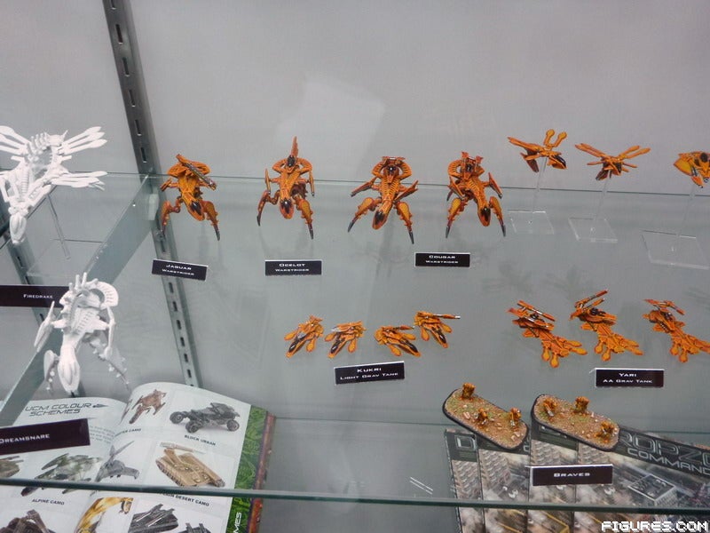 hawkwargames17