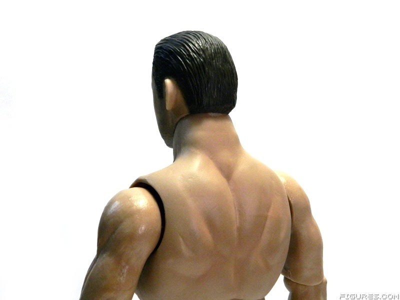1KausticMuscleCLOSE2c