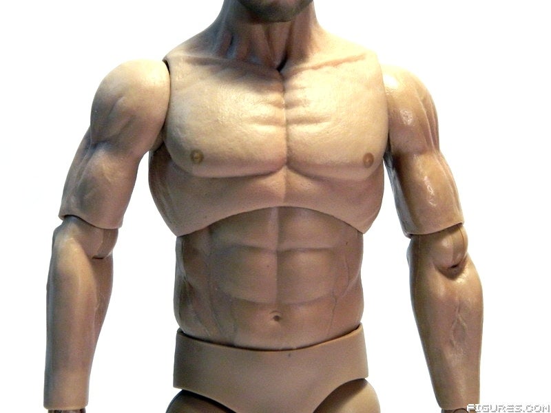 1KausticMuscleCLOSE4