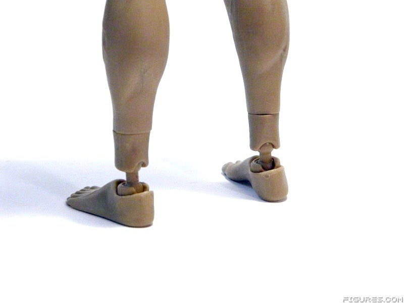 1KausticMuscleCLOSE6c