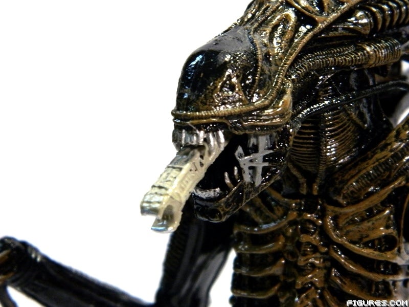1alienCLOSE13