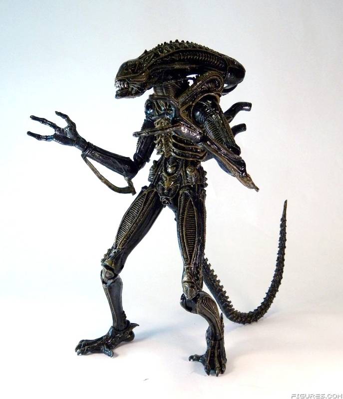 Aliens