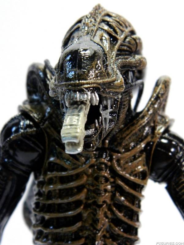 Aliens