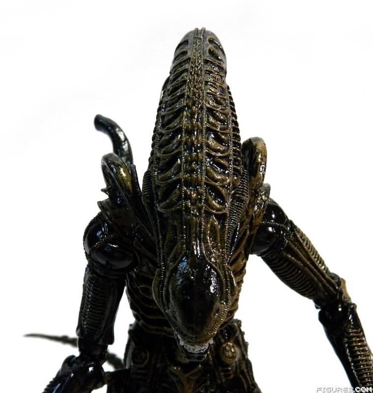 Aliens