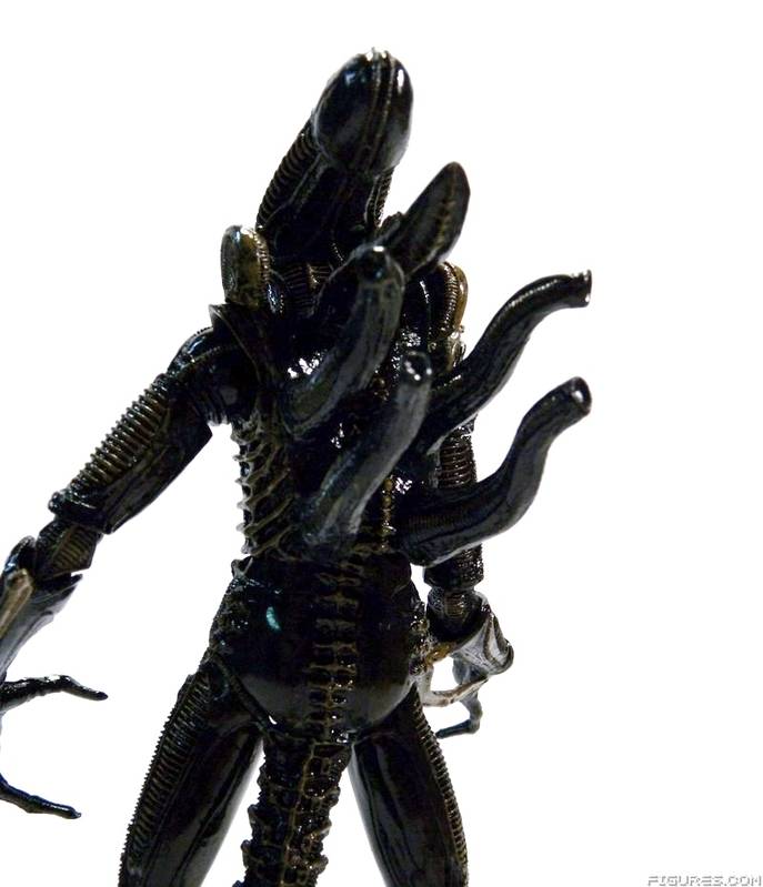 Aliens