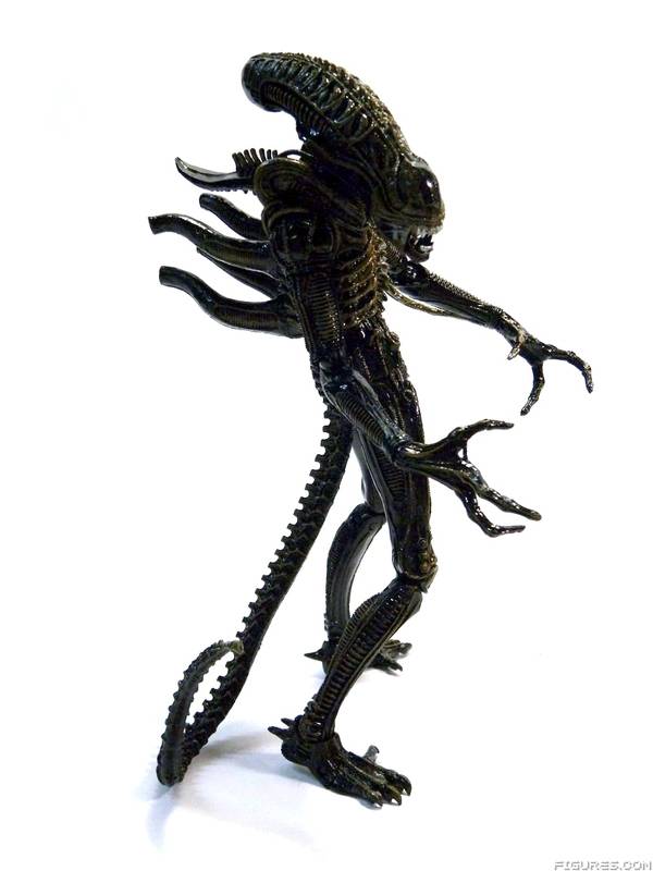 Aliens