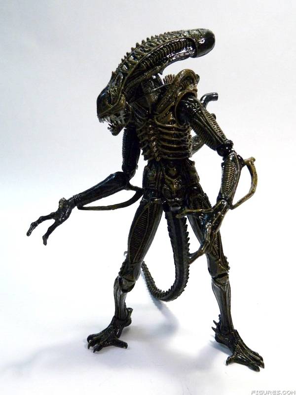 Aliens