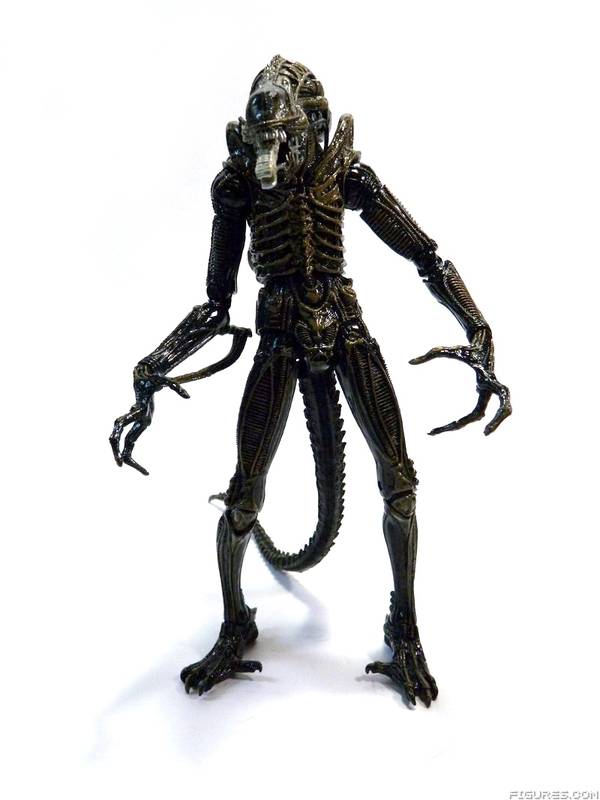 Aliens