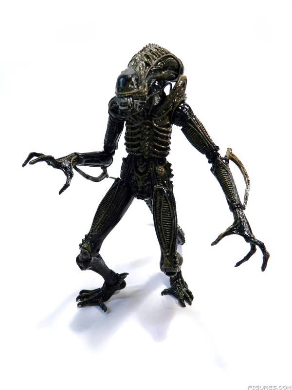 Aliens