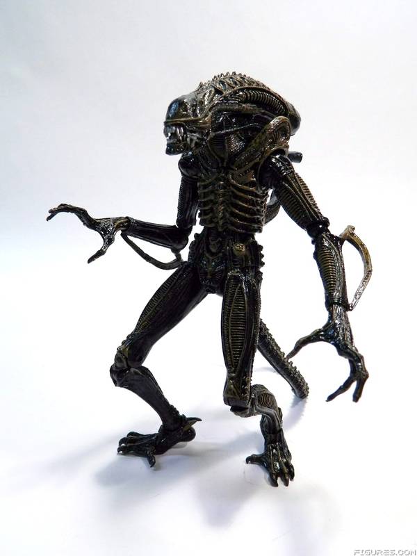 Aliens
