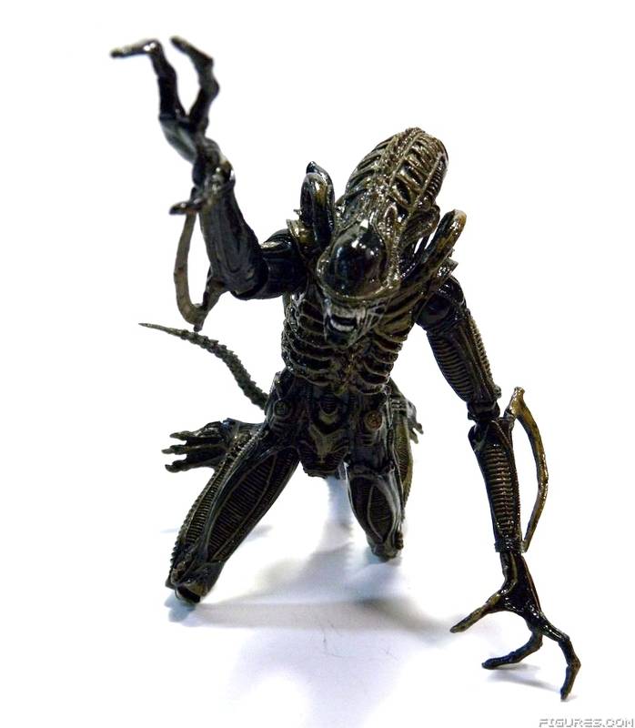 Aliens