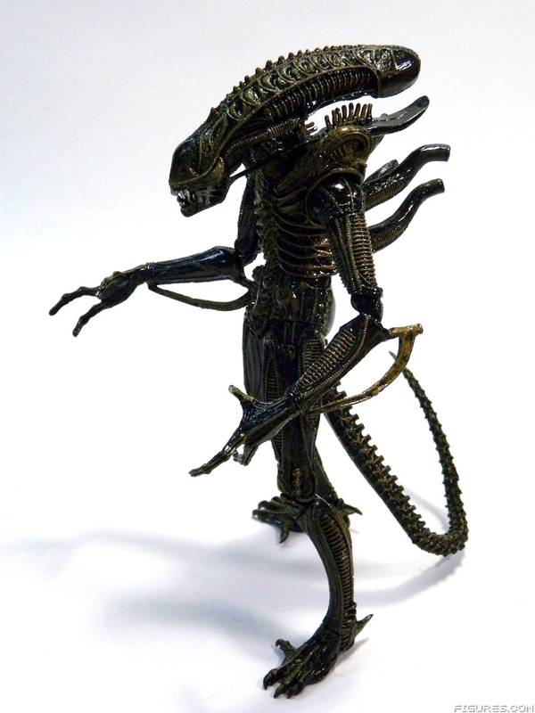 Aliens