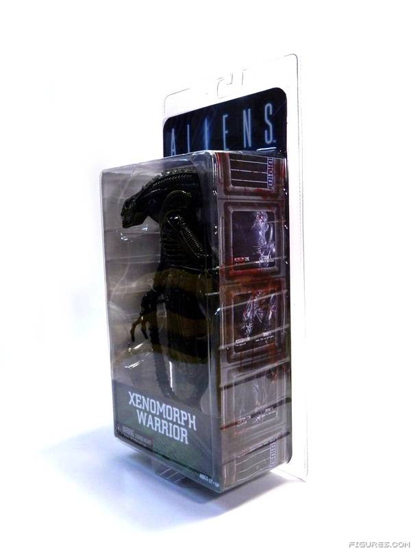 Aliens