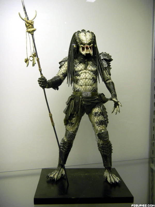Predator