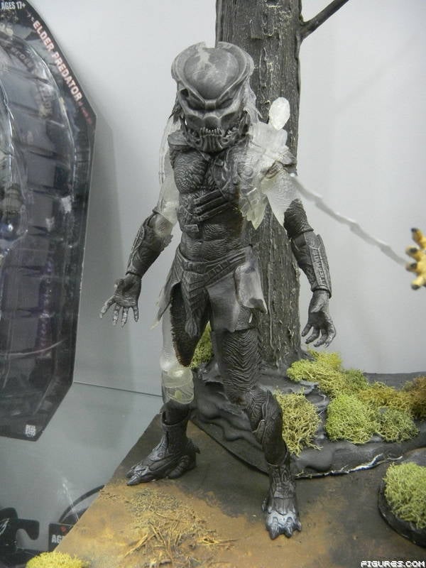 Predator