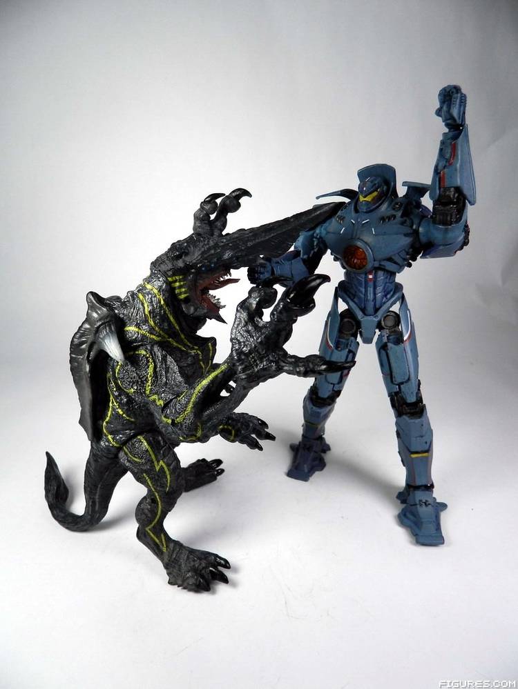 Pacific Rim