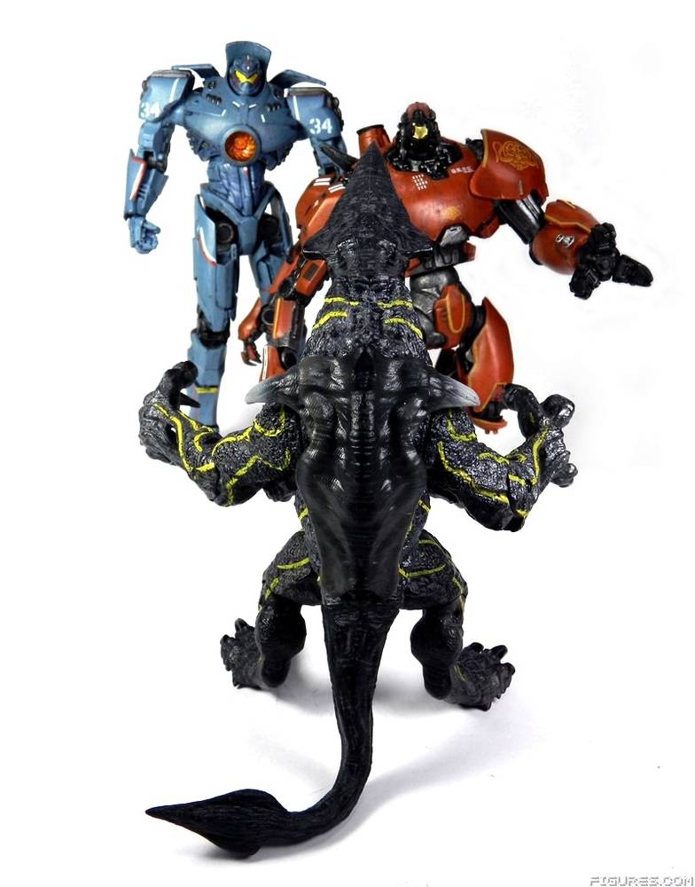 Pacific Rim