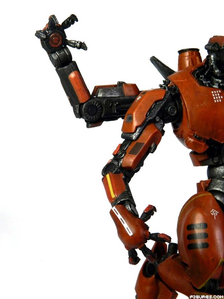 Pacific Rim