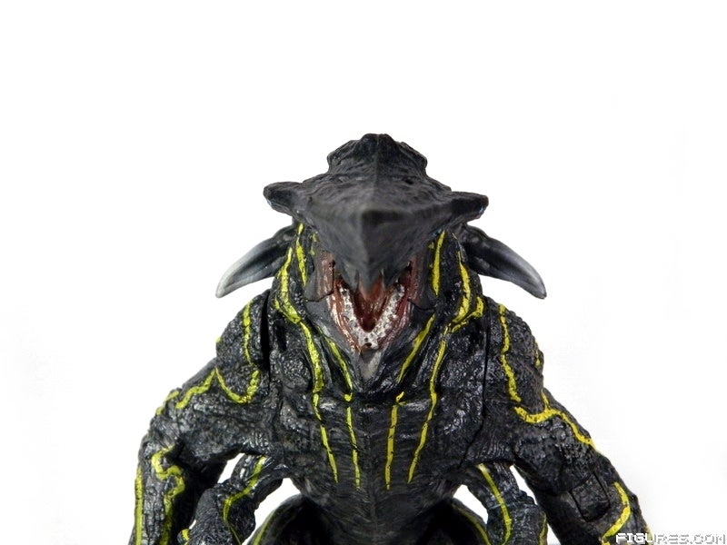 1knifeheadCLOSE13