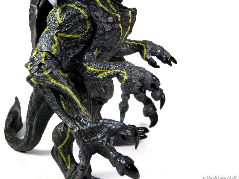 1knifeheadCLOSE8