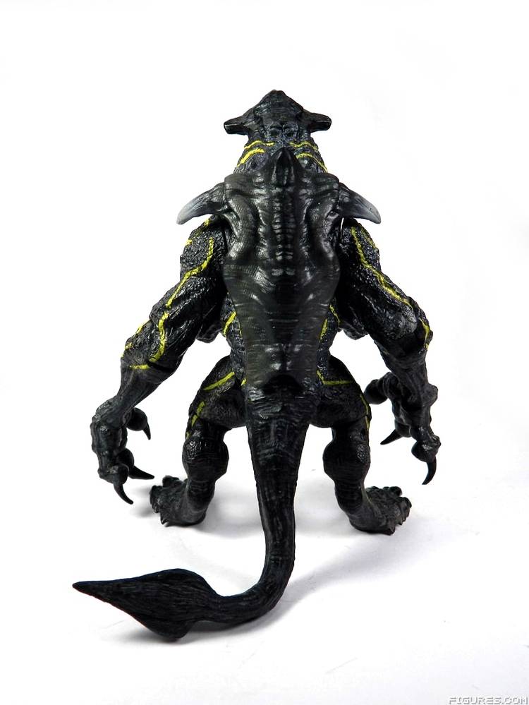 Pacific Rim