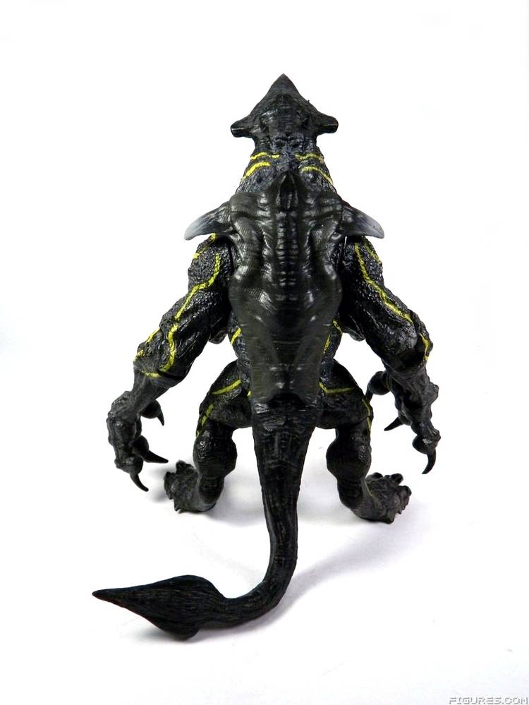 Pacific Rim