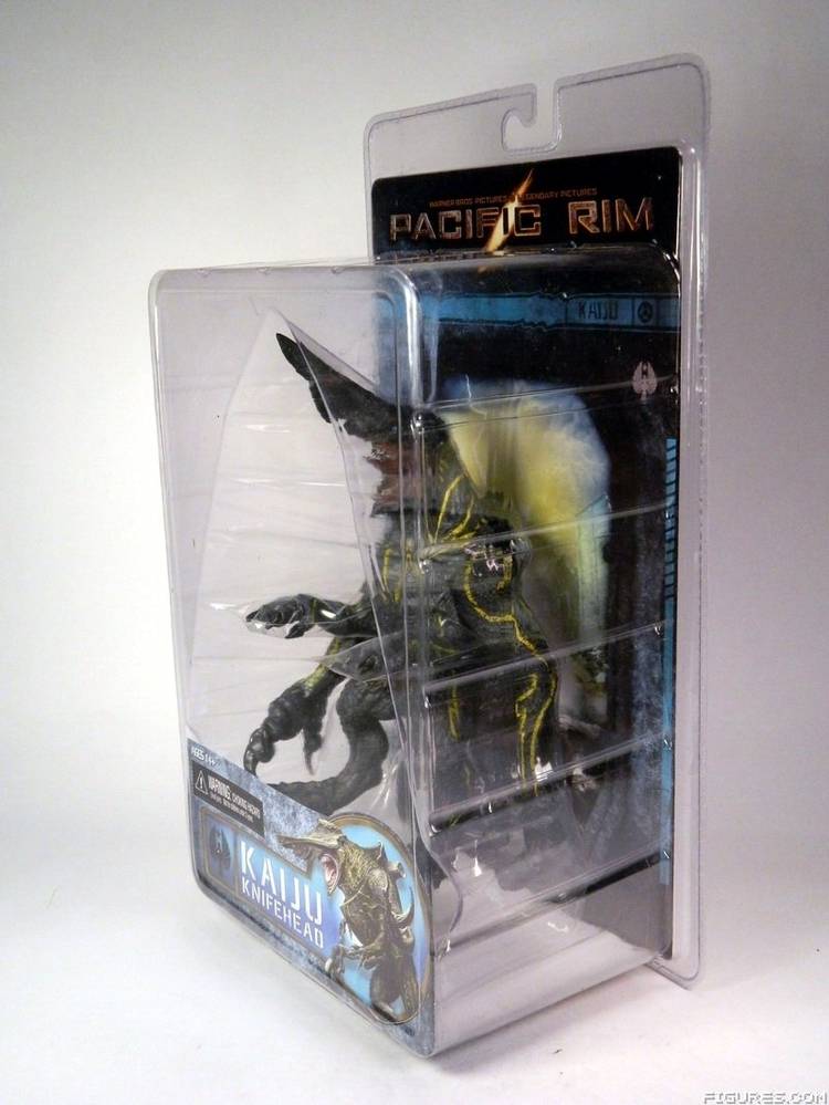 Pacific Rim