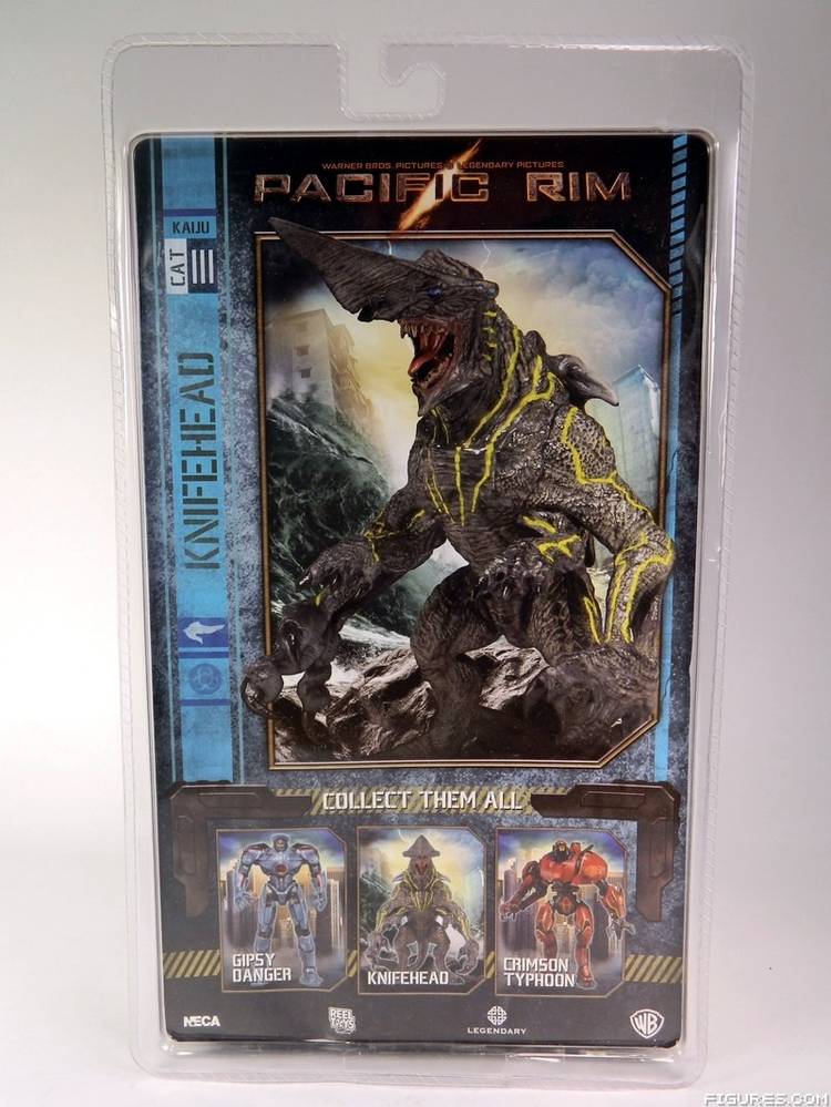 Pacific Rim
