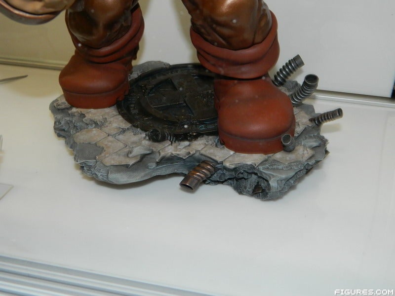 DSCN0250