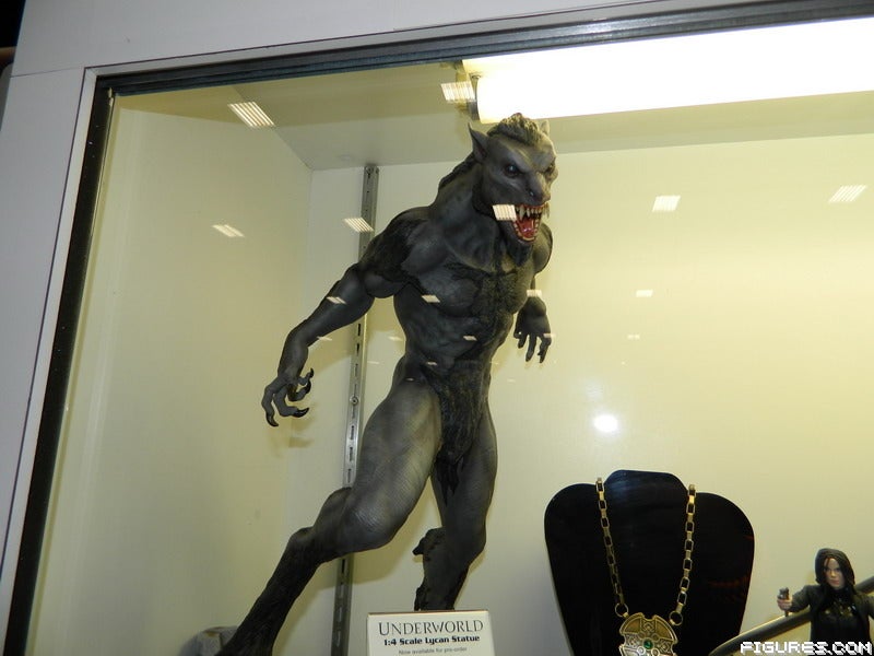 DSCN0322
